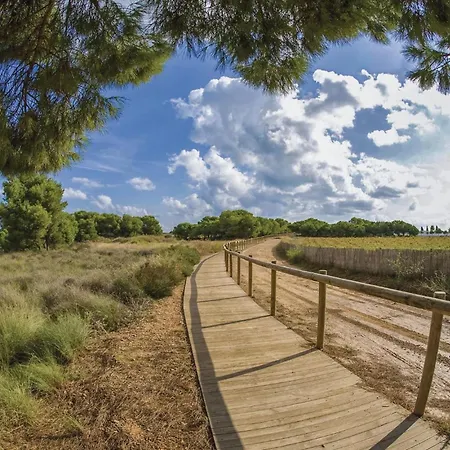 2 Bedroom Amazing In Torrevieja-la Mata Apartment La Mata (Torrevieja)